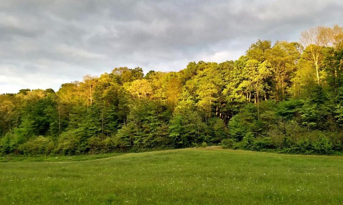 McArthur Other | Pet-Friendly Altenbrauch Farm: Top-Rated Camping Experience