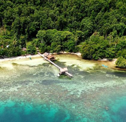 Saprokren House | Explore Alter Native Stay: Oceanfront Retreat with Private Beach