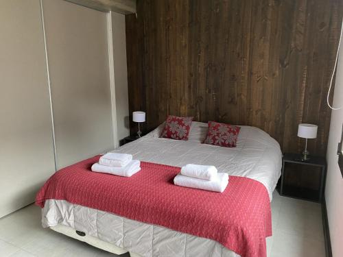 Lanin National Park Apartment | Family-Friendly Aluen - Andarlibre with High Guest Ratings