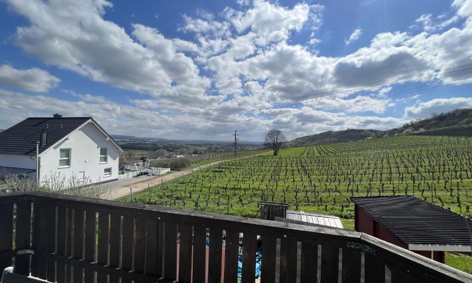 Mainz-Bingen Apartment | Pet-Friendly Retreat at Am Keßlersberg with Great Reviews