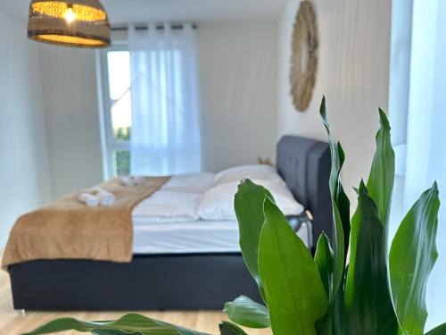 Rheinhausen Apartment | AMAO-Grey I King-Size Beds & Netflix with Private Balcony