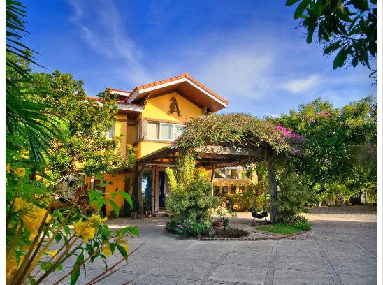 Libaong Resort | Beachfront Amarela Resort: Top-Rated with Pool & Breakfast