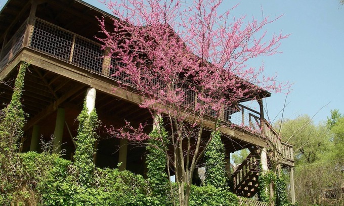 Bastrop Cabin | Unique Log Treehouse Cabin on the Colorado River - Rated 9.8