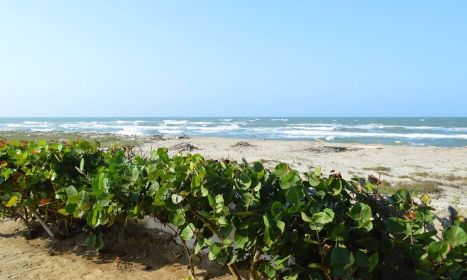Juan de Acosta House | Pet-Friendly Seaside House with Ocean View & Kitchen