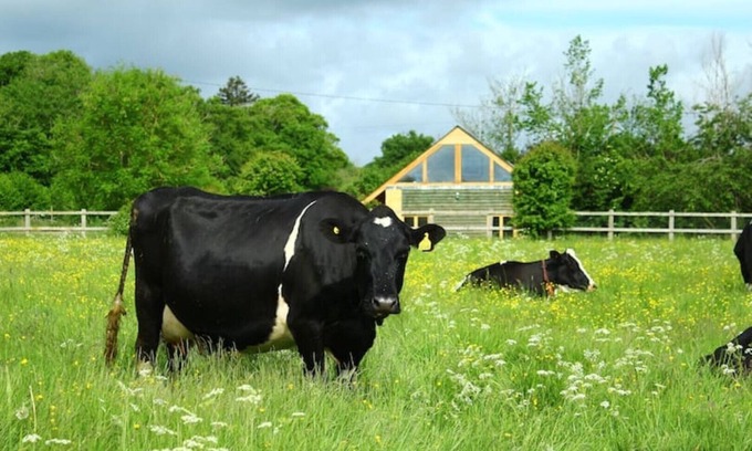 Bourton Cottage | Scenic Retreat: Guest Rated 10/10 with Pet-Friendly Amenities