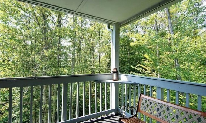 Davis Condo | Budget-Friendly Lodging with Breakfast in Canaan Valley