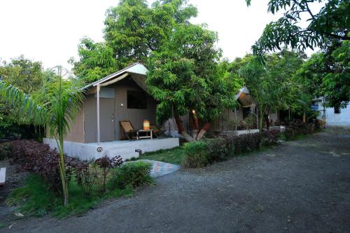 Mendarda House | Relaxing Amber Resort with Pool and Pet-Friendly Amenities