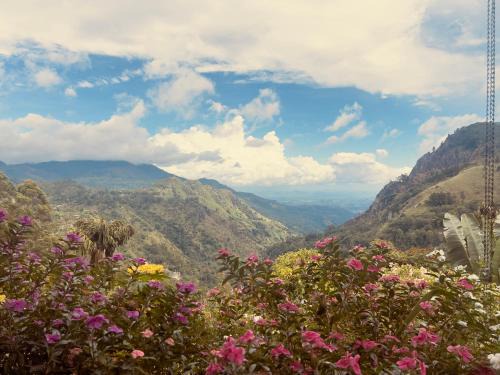 Ella House | Affordable Ambiente Guest House - Pet & Child Friendly Stay