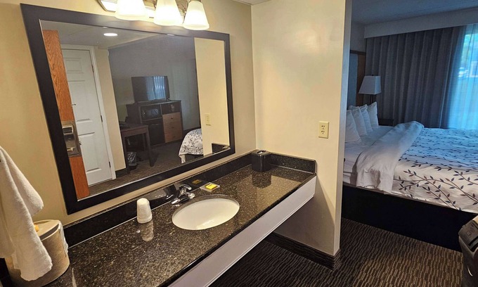 Birch Run Hotel | Comfortable Stay at Best Western Plus Birch Run/Frankenmuth