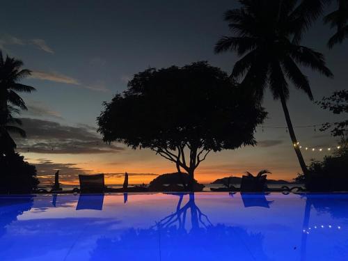 Bulata Resort | Relax at Amila Dive Beach Resort with Private Beach Access