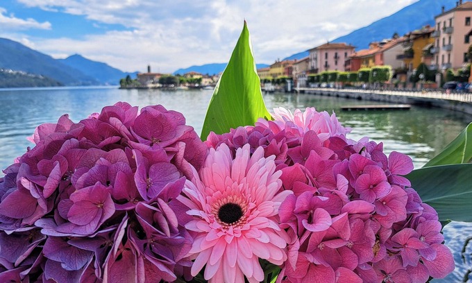 Gravedona Apartment | Experience Alto Lario's Vibrant Views and Top Amenities