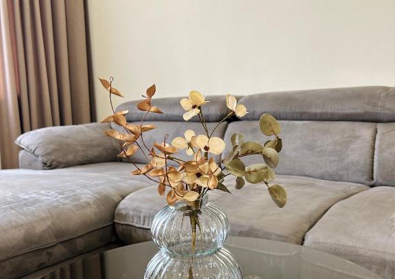Telsiai Apartment | Top-Rated Apartments in Telšiai, Lithuania - Pet Friendly!