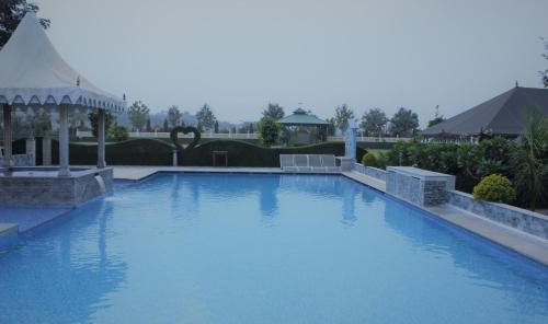 Amer Resort | Pet-Friendly Amrit Van Resort with Oceanfront Pool Access