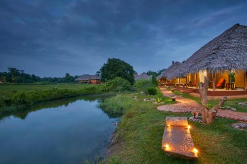 Dambulla Cabin | Relaxing Amuna Ayurvedic Retreat with Breakfast Included