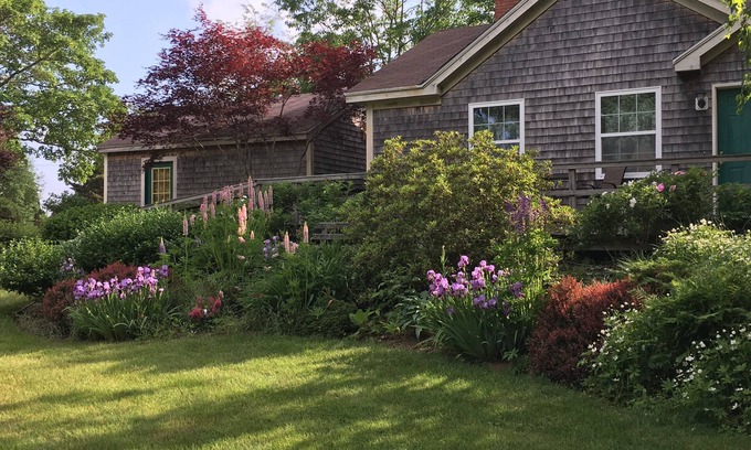 Camden House | An Oasis Retreat in the Heart of Camden, Rated 10/10