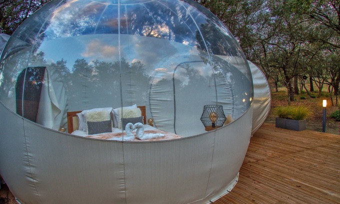 Mazan Bed & Breakfast | Experience a Unique Bubble Retreat in Enchanting Forests