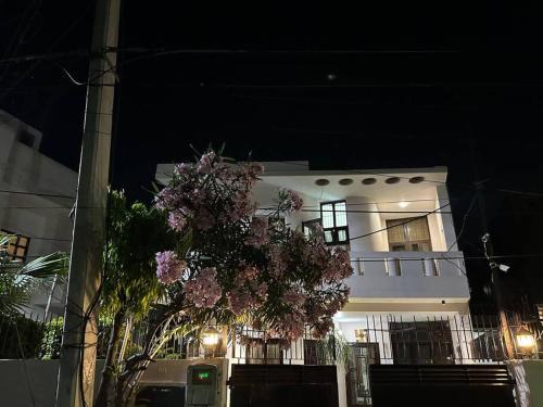 Amritsar Villa | Top-Rated Anaha’s Homestay: Family and Pet Friendly Retreat
