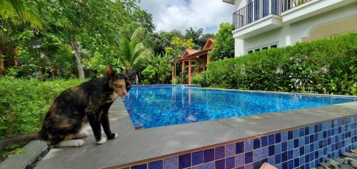 Ong Lang House | Pet-Friendly AnAn Boutique Bungalows with Private Kitchen