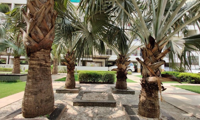 Agra Hotel | Anand's Aashiyana Homestay