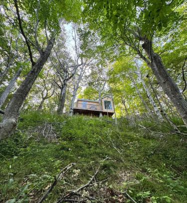 Pleasant Bay Apartment | Ananda - Enchanted Forest Hideaway