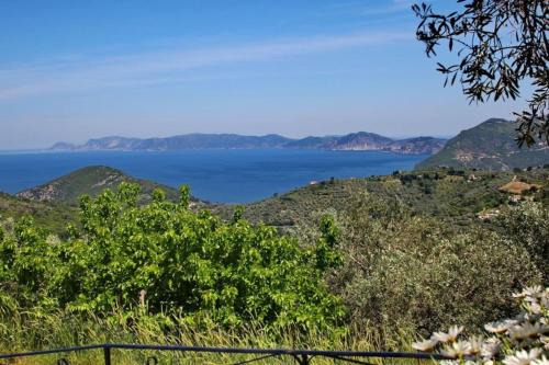 Skopelos Town House | Cozy Anania Cottage: Pet and Child Friendly Retreat