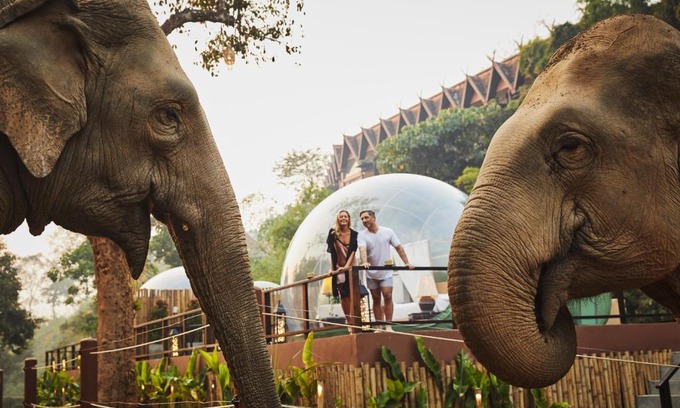Sop Ruak Resort | Experience Anantara Golden Triangle Elephant Camp & Resort