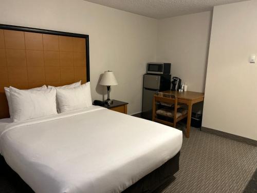 Grande Prairie Hotel | Pet-Friendly Anavada Inn & Suites in Grande Prairie