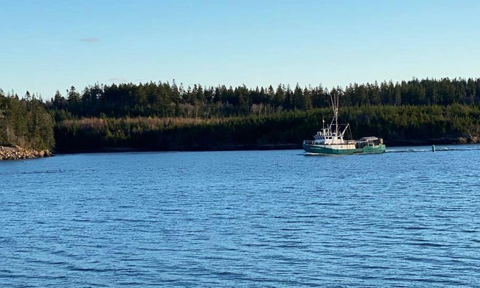 Blacks Harbour Apartment | Experience Anchor Haven: Family-Friendly and Guest Rated 9.8