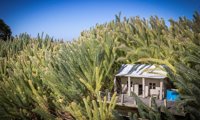 Port Campbell Hotel | Discover Anchors Port Campbell: 4-Star Rated with Hot Tub