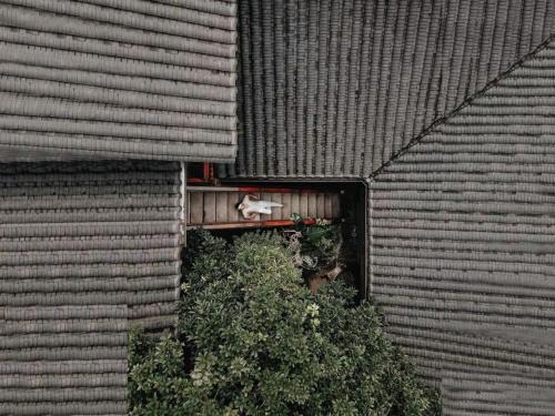 Chengdu City Centre Hotel | Ancient Charm Inn Chengdu