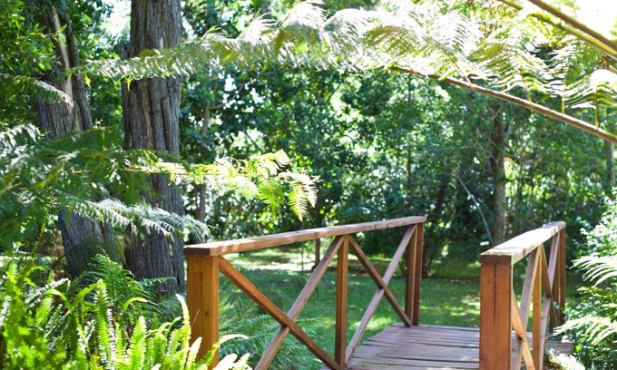 Storms River House | Oceanfront Andelomi Nature's Rest with Pool & Ocean Views