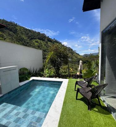 Ibague Other | Animadbali
