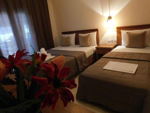 Sarti House | Unforgettable Stay at Anna House with Fully Equipped Kitchen
