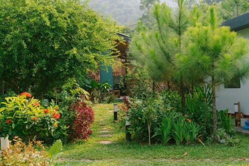 Soc Son Cabin | Cozy Anna Little Garden Homestay - Pet Friendly & Pool Access