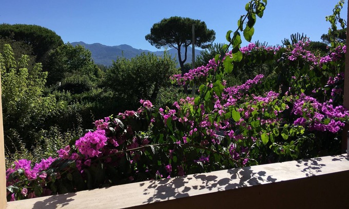 Pietrasanta House | Discover Anna's House with Oceanfront Views in Forte dei Marmi
