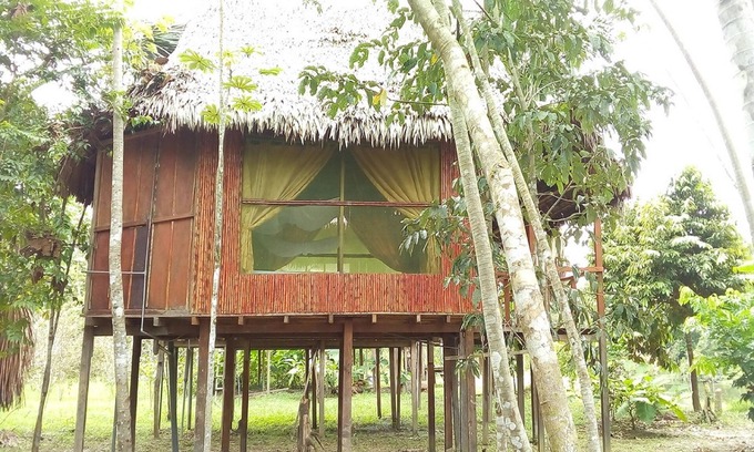 Nauta Cabin | Discover Antares Amazon Lodge: Spa & Family-Friendly Retreat