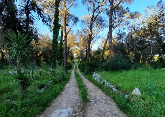 Maglie House | Experience Antica Riserva dei Daini: Rated 10/10 with Breakfast