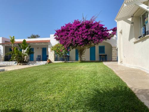 Favignana House | Experience Antichi Mulini: Oceanfront Retreat with Top Ratings