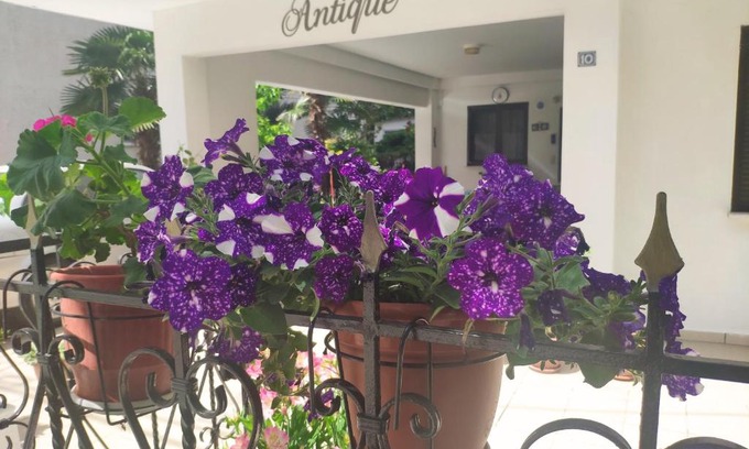 Olymbiaki Akti Apartment | Discover Antique The Hotel: Pet-Friendly & Family Ready