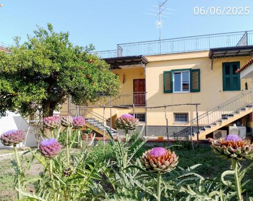 Naples Bed & Breakfast | Guest Rated 10/10 - Family-Friendly Stay at Antoniet