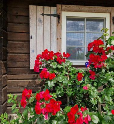 Anyksciai Cabin | Unforgettable Stay at Anykščiai MĖNULIO AKMUO with Ocean Views