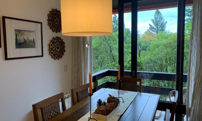 Vila Suica Apartment | Cozy Ap Gramado Knorrville: Pet-Friendly Retreat with Balcony