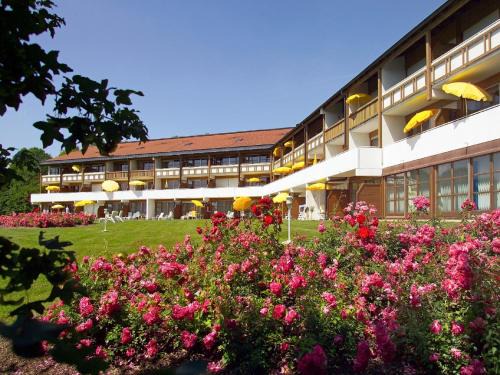 Bad Birnbach Apartment | Relax at Apart Hotel am Sonnenhügel - 4-Star Oceanfront Retreat