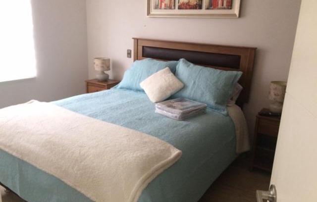 Puerto Varas Apartment | Pet-Friendly Retreat at Apart Hotel R&P Depto B