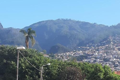 Sao Pedro Apartment | Bright Apartment Steps from the City Center - Rated 10/10