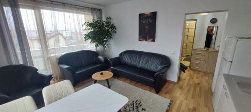Floresti Apartment | Child-Friendly Apart Ovi: Guest Rated 10/10 Experience