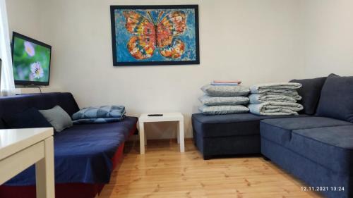 Stare Miasto District Apartment | Cozy Apartamencik Super: Pet-Friendly & Family Ready