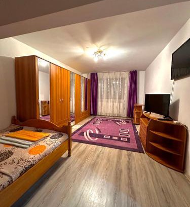 Baile Herculane Apartment | Pet and Child Friendly Stay at Apartament Băile Herculane