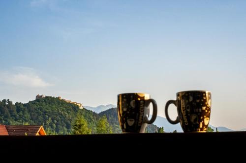 Rasnov Apartment | Incredible Stay at APARTAMENT CETATE VIEW - Guest Rated 9.8