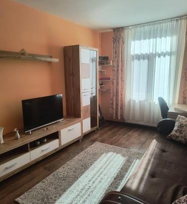 Vulcan Apartment | Apartament Gabriela
